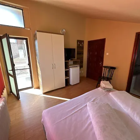 Guest house Pensiunea Restaurant Dana