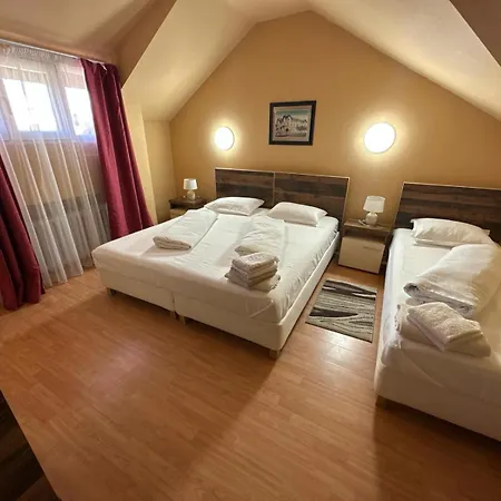 Guest house Pensiunea Restaurant Dana