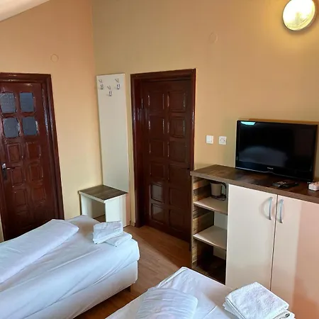 Guest house Pensiunea Restaurant Dana 3*